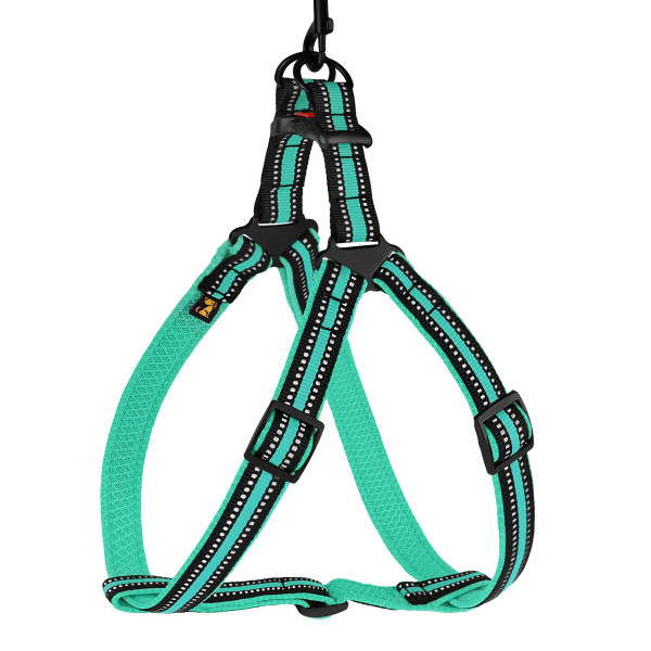 Шлея для Собак BronzeDog Mesh Стандарт Ментолова