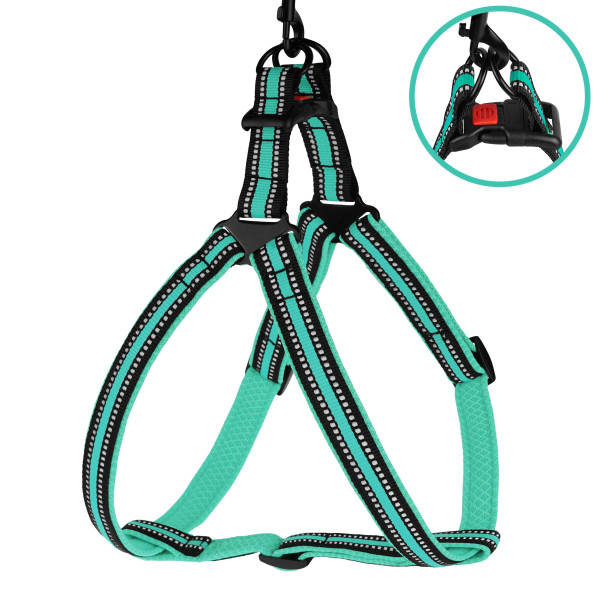 Шлея для Собак BronzeDog Mesh Стандарт Ментолова