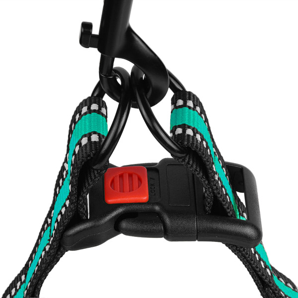 Шлея для Собак BronzeDog Mesh Стандарт Ментолова