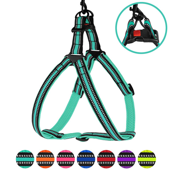 Шлея для Собак BronzeDog Mesh Стандарт Ментолова