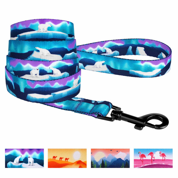 Повідець для Cобак BronzeDog Urban Travel нейлоновий Арктика