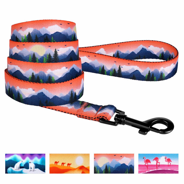 Повідець для Собак BronzeDog Urban Travel нейлоновий Гори