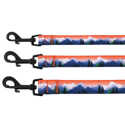 Повідець для Собак BronzeDog Urban Travel нейлоновий Гори