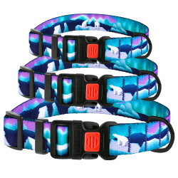 Нашийник для Собак BronzeDog Urban Travel нейлоновий з пластиковою пряжкою Арктика