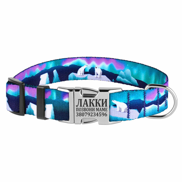 Нашийник для Собак BronzeDog Urban Travel нейлоновий з металевою пряжкою Арктика