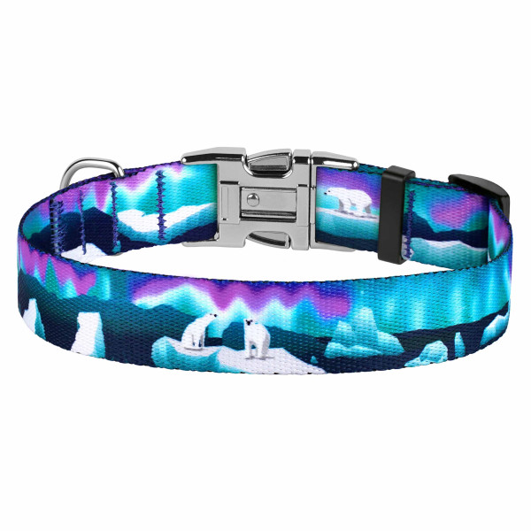 Нашийник для Собак BronzeDog Urban Travel нейлоновий з металевою пряжкою Арктика