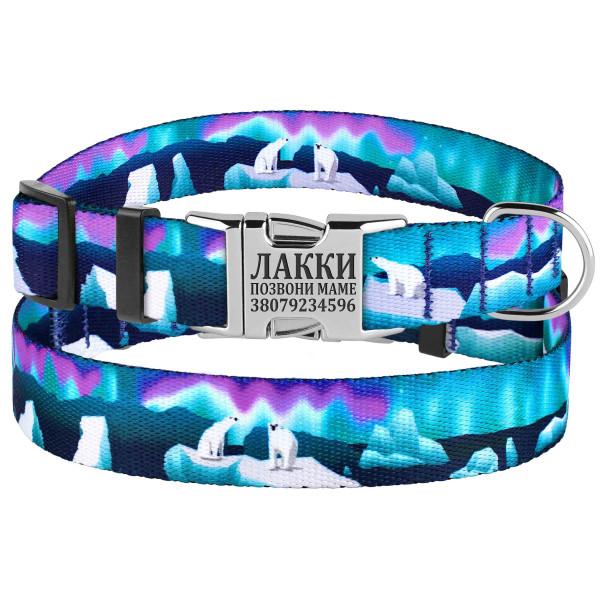Нашийник для Собак BronzeDog Urban Travel нейлоновий з металевою пряжкою Арктика