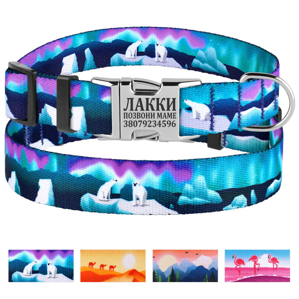 Нашийник для Собак BronzeDog Urban Travel нейлоновий з металевою пряжкою Арктика