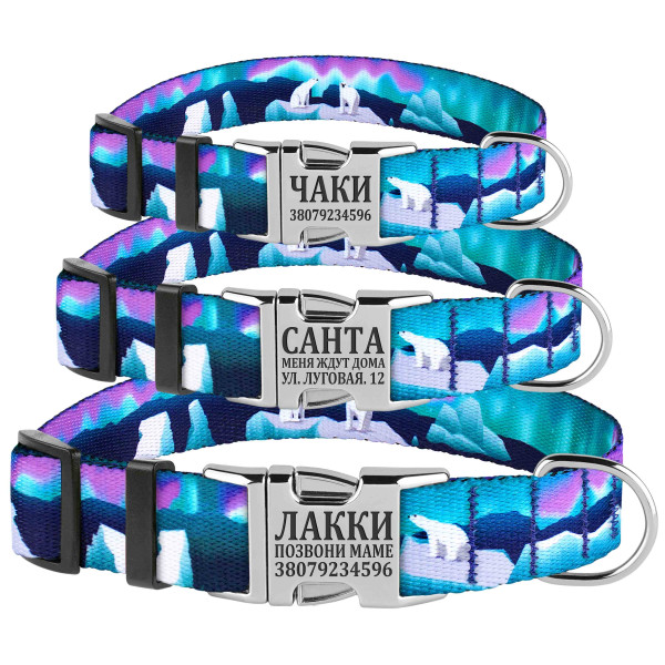 Нашийник для Собак BronzeDog Urban Travel нейлоновий з металевою пряжкою Арктика
