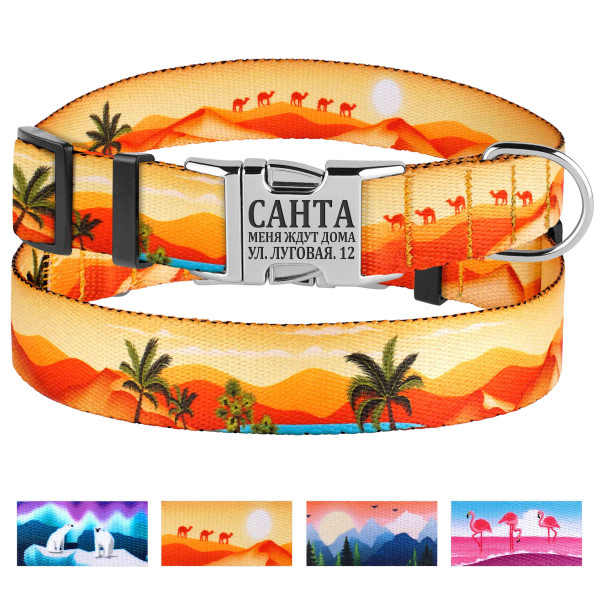 Нашийник для Собак BronzeDog Urban Travel нейлоновий з металевою пряжкою Пустиня