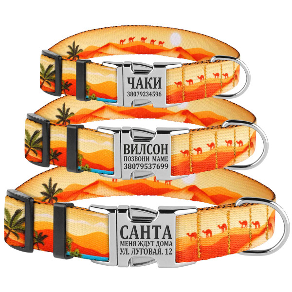 Нашийник для Собак BronzeDog Urban Travel нейлоновий з металевою пряжкою Пустиня