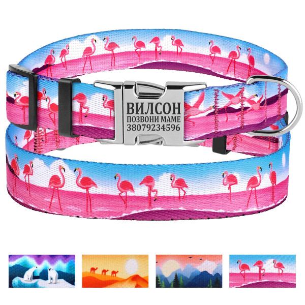 Нашийник для собак BronzeDog Urban Travel нейлоновий з металевою пряжкою Фламінго