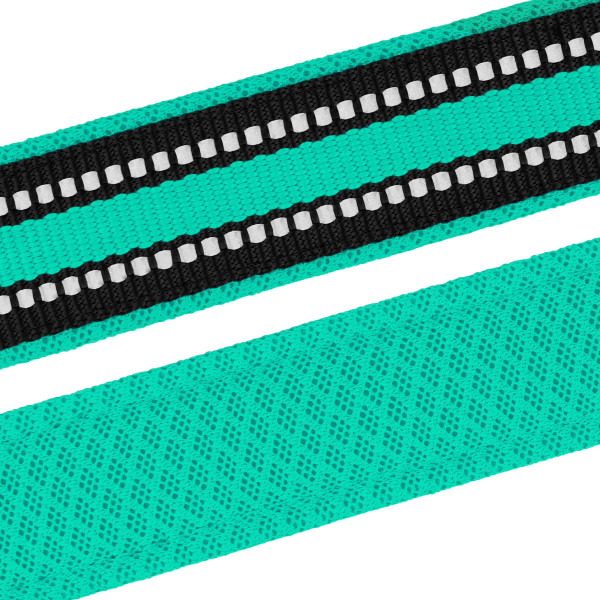 Нашийник для Собак BronzeDog Mesh з Металевою Пряжкою Ментоловий