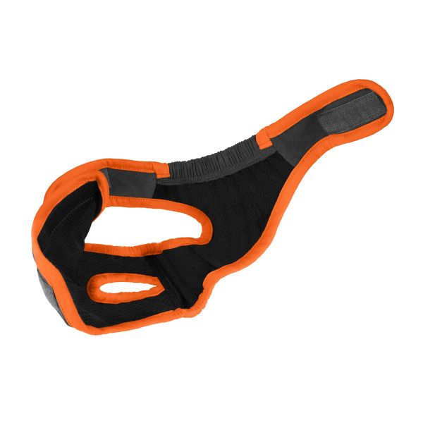 Труси гігієнічні Bronzedog регульовані Трикотажні