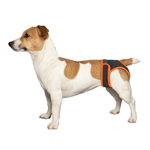 Труси гігієнічні Bronzedog регульовані Трикотажні