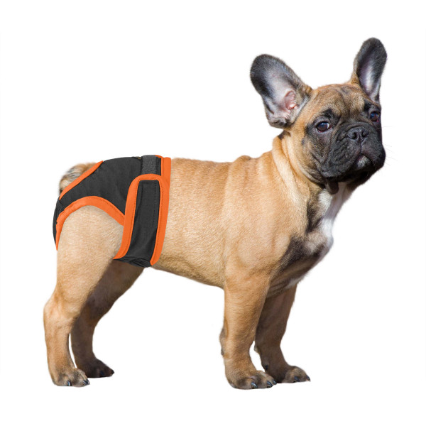 Труси гігієнічні Bronzedog регульовані Трикотажні