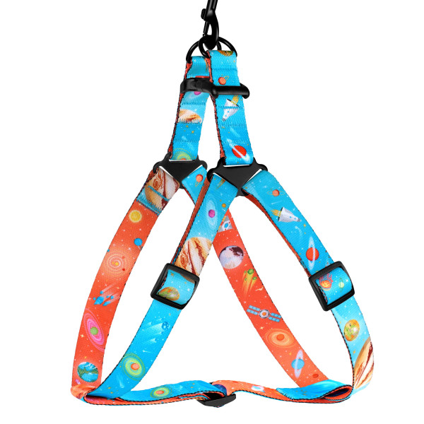 Шлея для собак BronzeDog Urban Cosmos нейлонова Блакитна