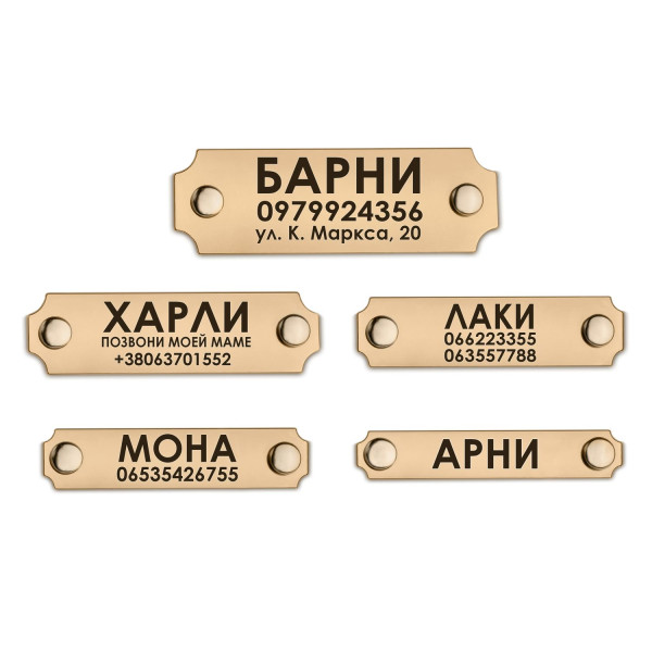 Адресник для Собак BronzeDog Позолота на Заклепках