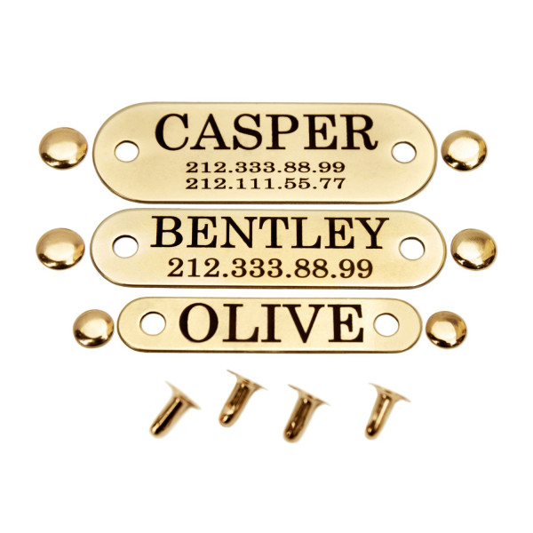 Адресник для Собак BronzeDog Позолота на Заклепках