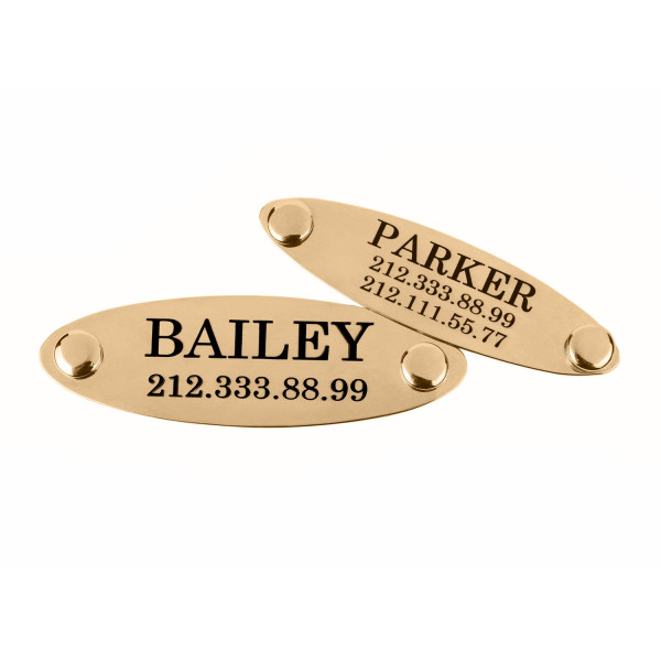 Адресник для Собак BronzeDog з Латуні на Заклепках