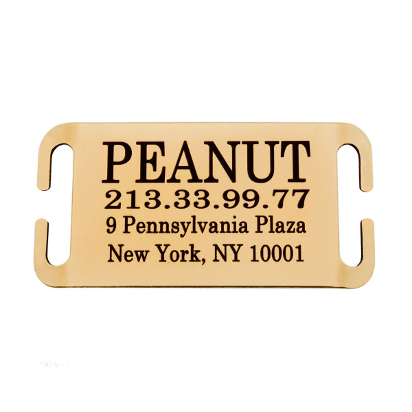 Адресник для Собак BronzeDog з Латуні Слайдер Відкритий