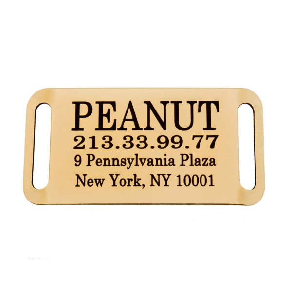 Адресник для Собак BronzeDog з Латуні Слайдер Закритий