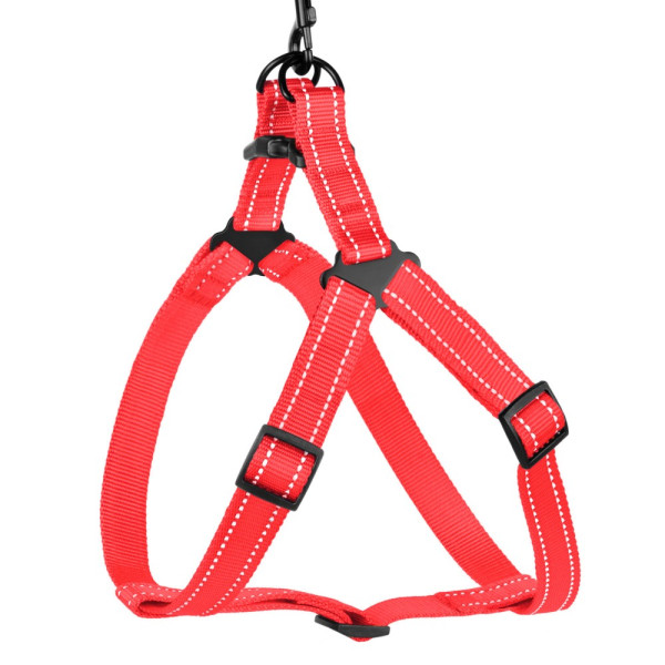 Шлея для Собак BronzeDog Active Нейлонова зі Світловідбиттям Коралова