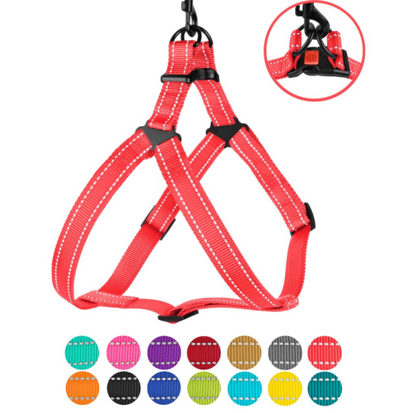 Шлея для Собак BronzeDog Active Нейлонова зі Світловідбиттям Коралова