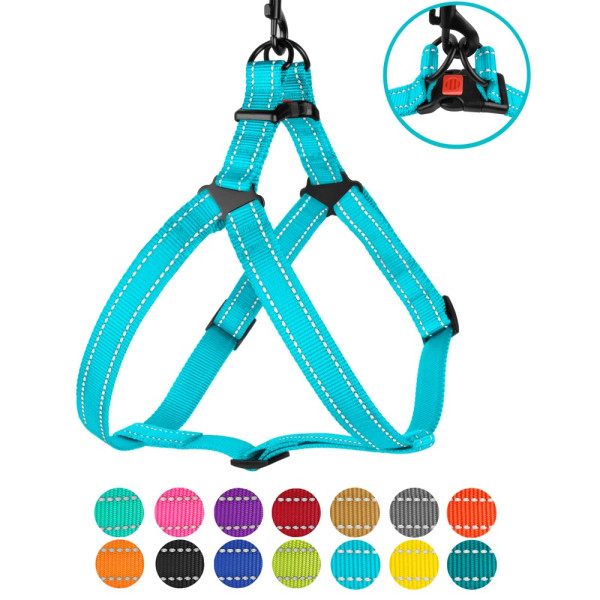 Шлея для Собак BronzeDog Active Нейлонова зі Світловідбиттям Блакитна