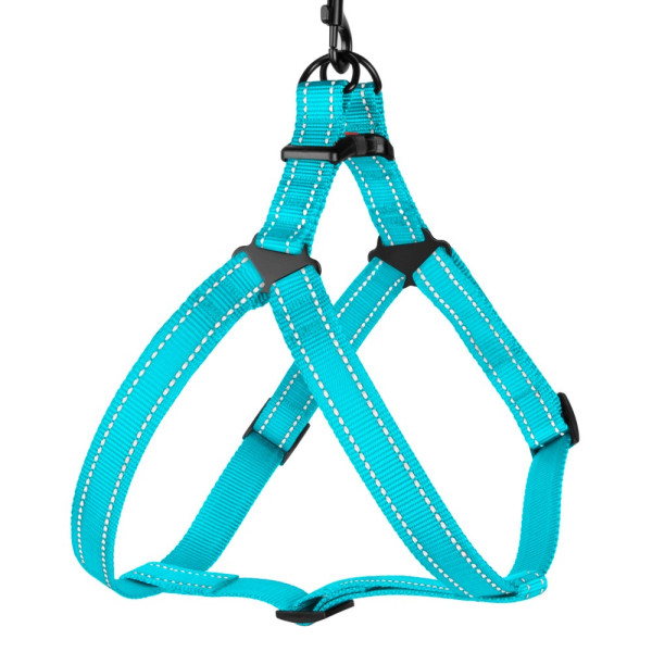 Шлея для Собак BronzeDog Active Нейлонова зі Світловідбиттям Блакитна