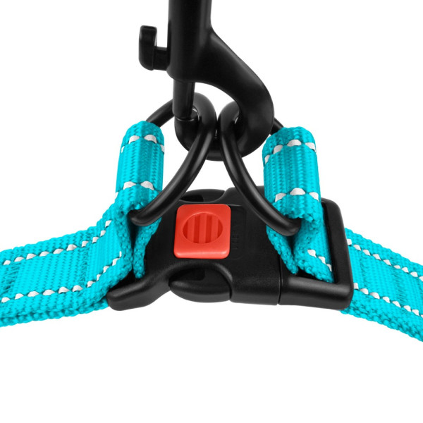 Шлея для Собак BronzeDog Active Нейлонова зі Світловідбиттям Блакитна