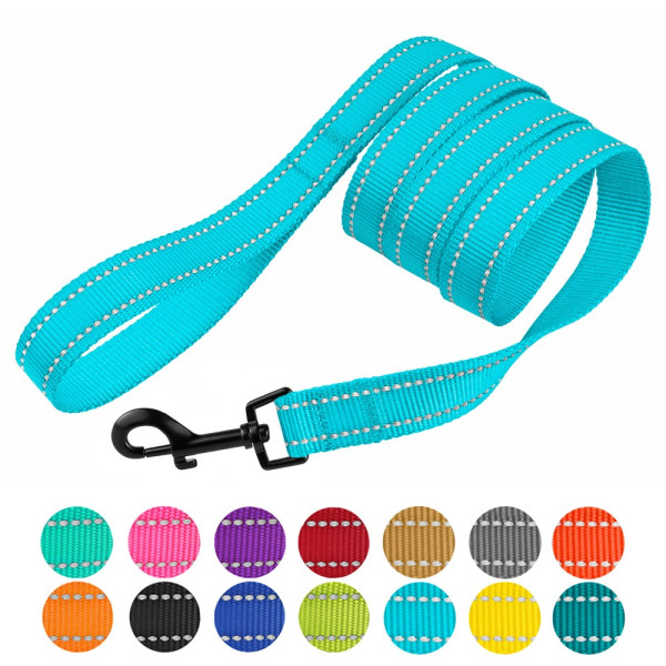 Повідець для Собак Bronzedog Active Нейлоновий зі Світловідбиттям Блакитний