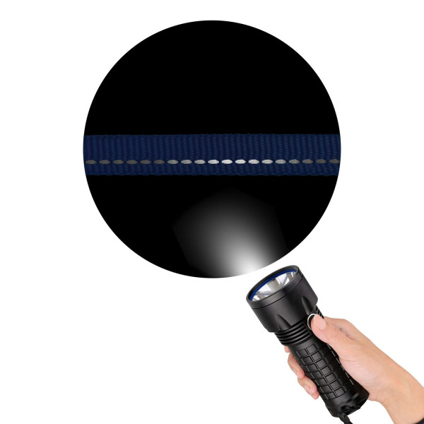 Нашийник для Собак Дрібних Порід BronzeDog Active Нейлоновий зі Світловідбиттям та Металевою Пряжкою Сірий