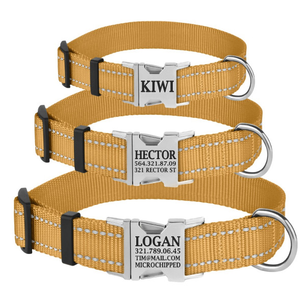 Нашийник для Собак BronzeDog Active Нейлоновий зі Світловідбиттям та Металевою Пряжкою Золотистий