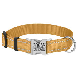 Нашийник для Собак BronzeDog Active Нейлоновий зі Світловідбиттям та Металевою Пряжкою Золотистий