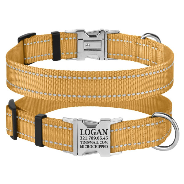 Нашийник для Собак BronzeDog Active Нейлоновий зі Світловідбиттям та Металевою Пряжкою Золотистий