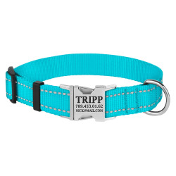 Нашийник для Собак BronzeDog Active Нейлоновий зі Світловідбиттям та Металевою Пряжкою Блакитний