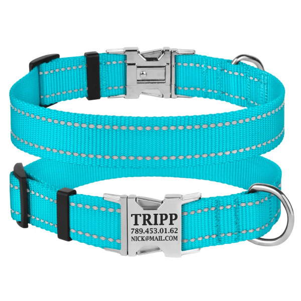 Нашийник для Собак BronzeDog Active Нейлоновий зі Світловідбиттям та Металевою Пряжкою Блакитний