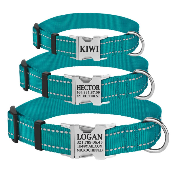 Нашийник для Собак BronzeDog Active Нейлоновий зі Світловідбиттям та Металевою Пряжкою Бірюзовий