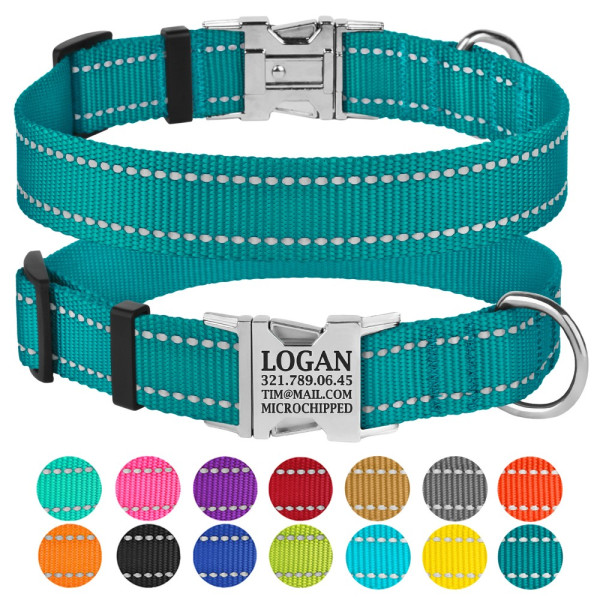 Нашийник для Собак BronzeDog Active Нейлоновий зі Світловідбиттям та Металевою Пряжкою Бірюзовий