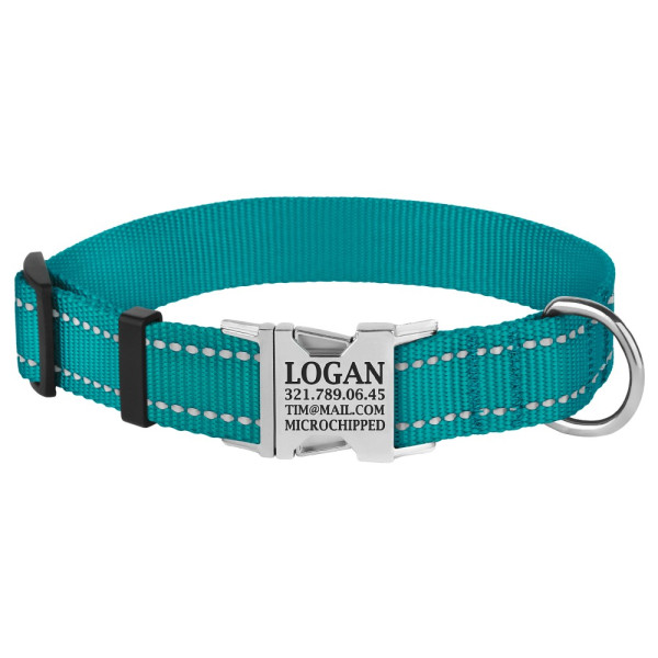 Нашийник для Собак BronzeDog Active Нейлоновий зі Світловідбиттям та Металевою Пряжкою Бірюзовий