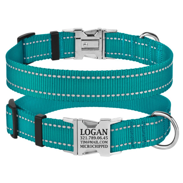 Нашийник для Собак BronzeDog Active Нейлоновий зі Світловідбиттям та Металевою Пряжкою Бірюзовий
