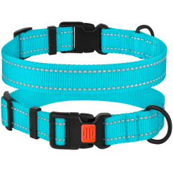 Нашийник для Собак BronzeDog Active Нейлоновий зі Світловідбиттям та Пластиковою Пряжкою Блакитний