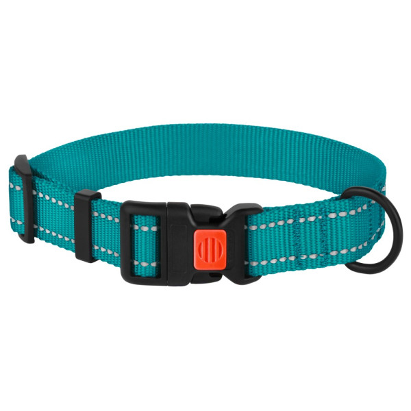 Нашийник для Собак BronzeDog Active Нейлоновий зі Світловідбиттям та Пластиковою Пряжкою Бірюзовий