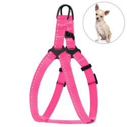 Шлея для Собак Дрібних Порід BronzeDog Active Нейлонова зі Світловідбиттям Рожева