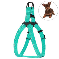 Шлея для Собак Дрібних Порід BronzeDog Active Нейлонова зі Світловідбиттям Ментолова