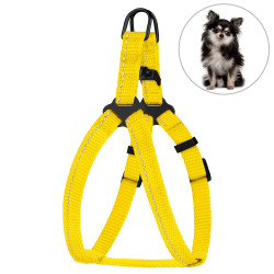 Шлея для Собак Дрібних Порід BronzeDog Active Нейлонова зі Світловідбиттям Жовта
