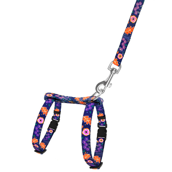 Шлея з Поводком для Котів та Дрібних Собак BronzeDog Urban Квіти Синя