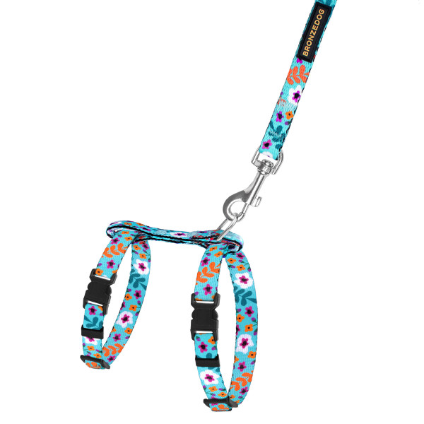 Шлея з Поводком для Котів та Дрібних Собак BronzeDog Urban Квіти Ментол