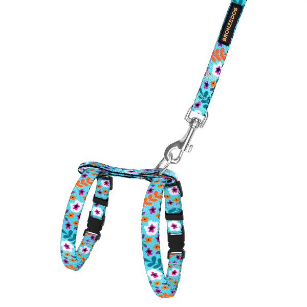 Шлея з Поводком для Котів та Дрібних Собак BronzeDog Urban Квіти Ментол